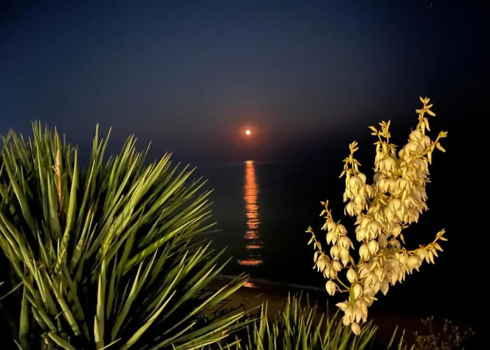 Apartament Sun Wave Presige *