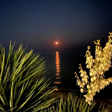 Apartment Sun Wave Presige *