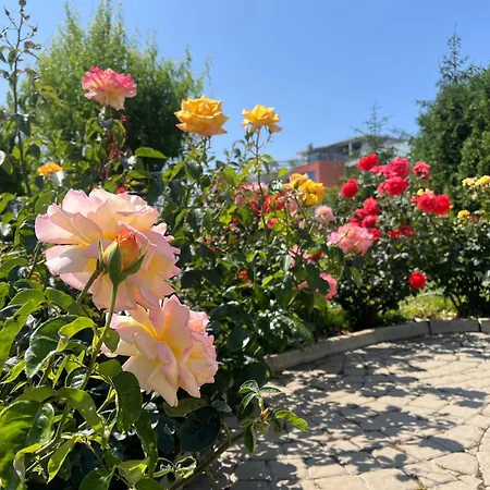 Sun Wave Presige Apartment Sveti Vlas