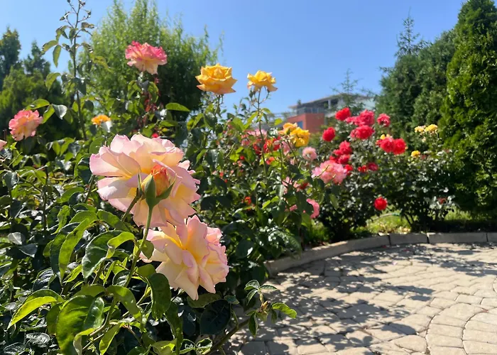 Sun Wave Presige Appartement Sveti Vlas